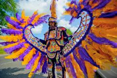 Mardi Gras KDRT photo