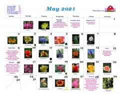 RWB calendar May 2021