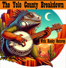 A Cowboy Lizard Playing Banjo