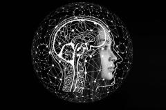 Illustration of data and human brain