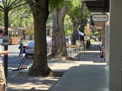 Downtown Davis street scene May 2025