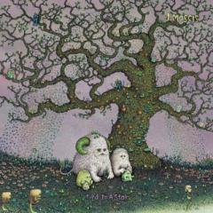 Album of the week, KDRT