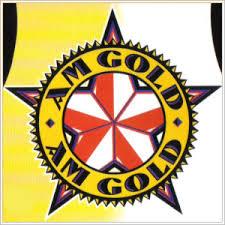 logo-AM-Gold