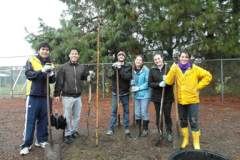 UCD Volunteers
